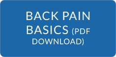 BACK PAIN BASICS (PDF DOWNLOAD)